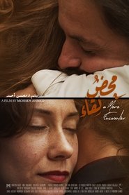 poster A Mere Encounter