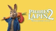 Pierre Lapin 2 : Panique en ville wallpaper 