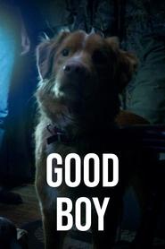 poster Good Boy