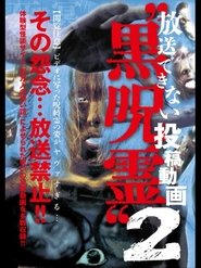 poster Submitted Videos That Cannot be Broadcast: Black Ghost 2