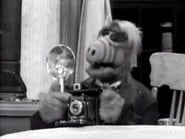 Alf season 3 episode 24