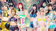 Stardom in Kobe 2026 Feb.