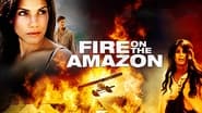 Fire on the Amazon wallpaper 