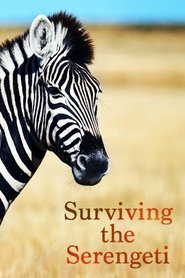 Poster of Surviving the Serengeti image size 2000x3000