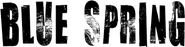 Logo of Blue Spring image size 772x195