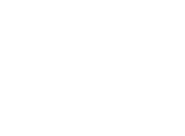 Logo of The Beautiful Lie image size 731x538