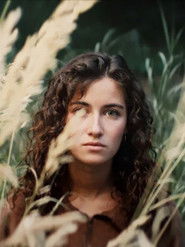 The Weight of Quiet Things