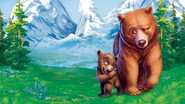 Frère des ours wallpaper 