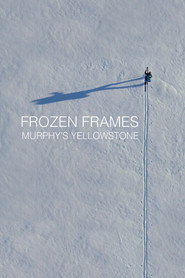 Frozen Frames: Murphy's Yellowstone