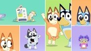 Les petites histoires de Bluey  