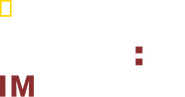Logo of Dog: Impossible image size 1911x1003
