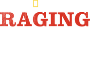 Logo of Raging Bull Shark image size 1634x1295