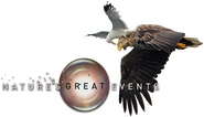 Logo of Nature's Great Events image size 492x281
