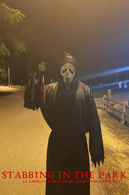 Stabbing in the park