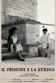poster The Prince and the Witch