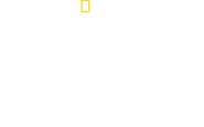 Logo of Most Wanted Sharks image size 1744x1080