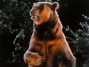 Voir La légende de l'ours de bronze en streaming VF sur StreamizSeries.com | Serie streaming