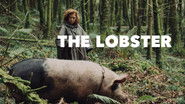 Backdrop of The Lobster image size 1280x720