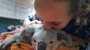 Izzy et les koalas season 1 episode 4