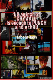 1/2 AN INCH OF DRYWALL IS ENOUGH TO PUNCH A HOLE THROUGH