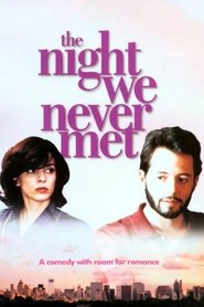 Poster of The Night We Never Met image size 500x750