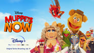 Le Nouveau Muppet Show  