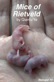 poster Mice of Rietveld