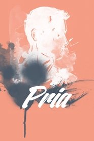 poster Pria