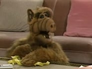 Alf season 1 episode 2