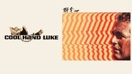Backdrop of Cool Hand Luke image size 1920x1080
