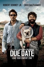 Poster of Due Date image size 1000x1500