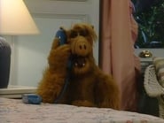 Alf season 1 episode 23