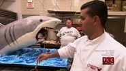 Cake Boss season 4 episode 2