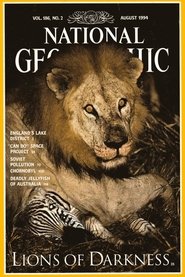 Poster of Lions Of Darkness image size 911x1365