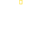 Logo of When Sharks Attack... and Why image size 2867x2437