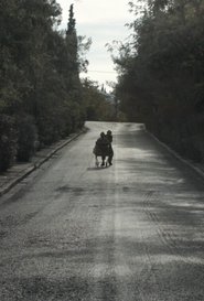 gallery-thumbnail