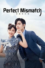 Poster of Perfect Mismatch image size 2000x3000