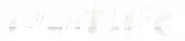 Logo of Night Life image size 1122x250