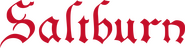 Logo of Saltburn image size 2714x698