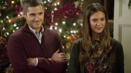 Brothers and Sisters season 5 episode 10