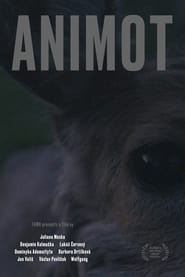 poster Animot
