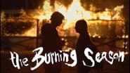 The Burning Season wallpaper 