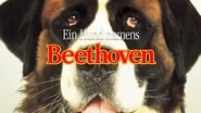 Beethoven wallpaper 