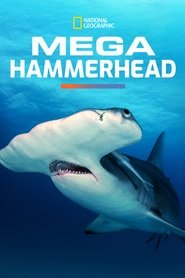 poster Mega Hammerhead