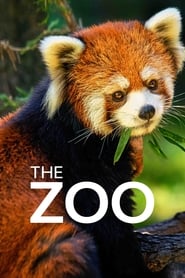 serie streaming - The Zoo streaming