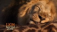Backdrop of Lion Battle Zone image size 2880x1620