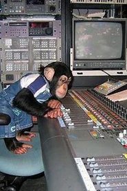 🐒🐵🙉🙊🙈