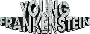 Logo of Young Frankenstein image size 784x299