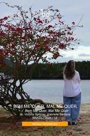 Bem Me Quer, Mal Me Quer