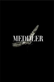 Meddler